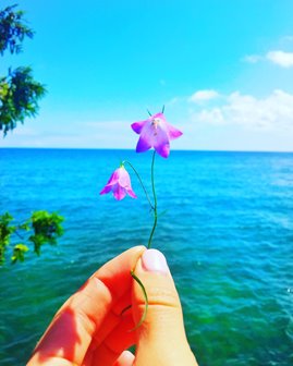 A hand holding a small lavender spring with the lake in the background
