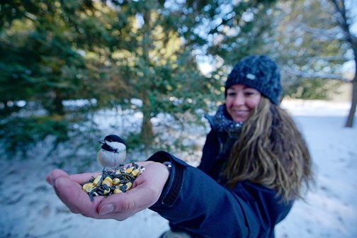 A woman in the snow feeding a chickadee from her hand.