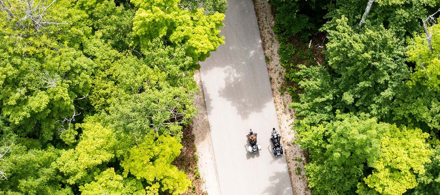 Aerial view of motorcycles driving on a tree-lined road.