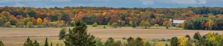 Baileys Harbor A field with fall color trees in the distance