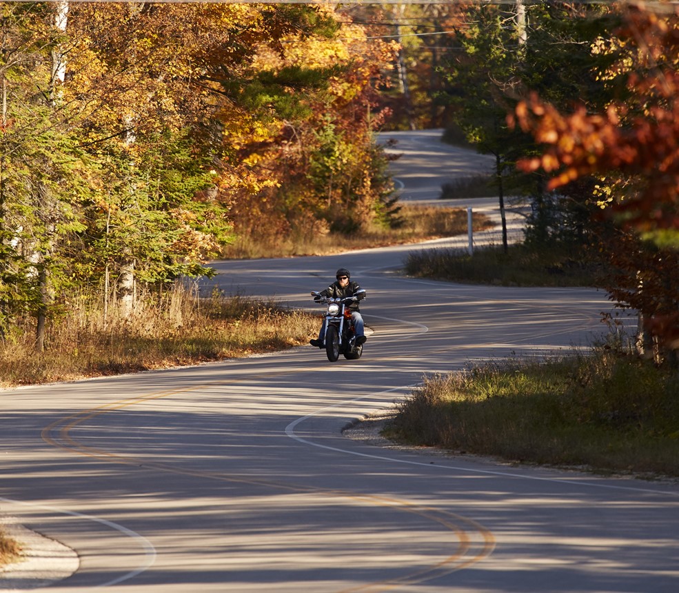 Motorcycling A motorcyclist riding down a winding tree-lined road.