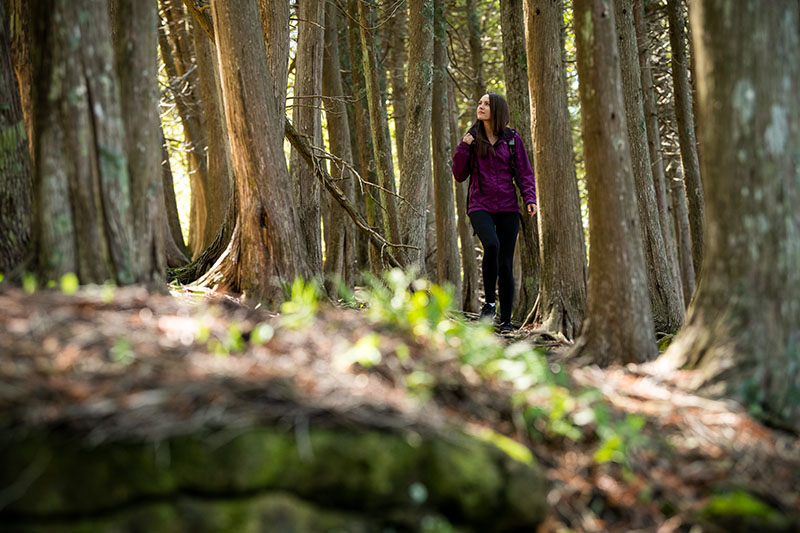 Park It: Door County's Parks Bluffs
