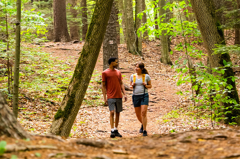 Park It: Door County's Parks Newport State Park