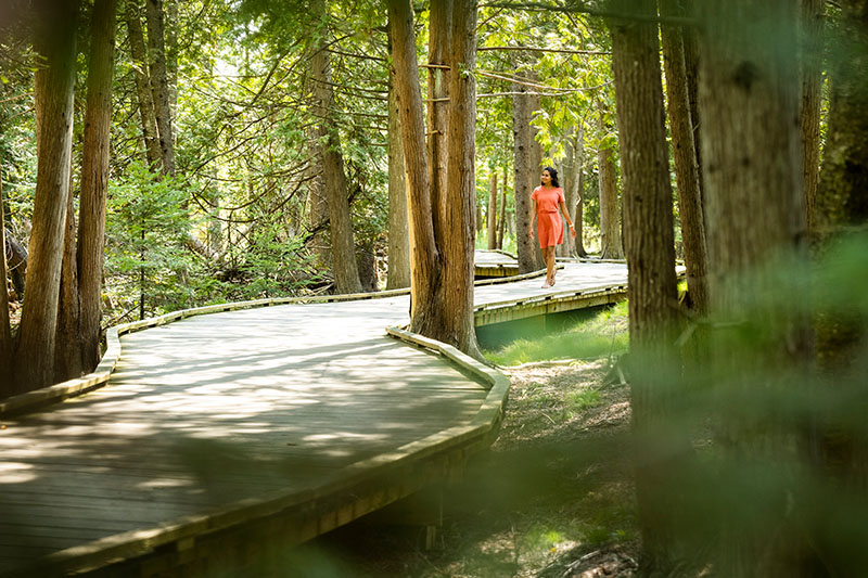 Park It: Door County's Parks Baileys Harbor Ridges