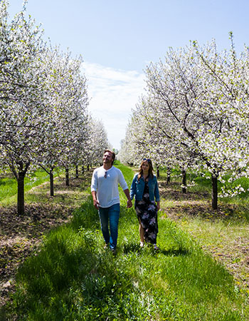 Spring in Door County Spring in Door County