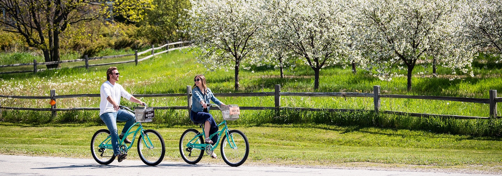 A young couple laughs and rides bikes past a cherry blossoms orchard in bloom.