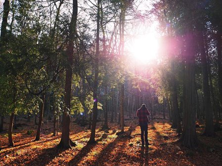 Door County Parks - Scenic Attractions