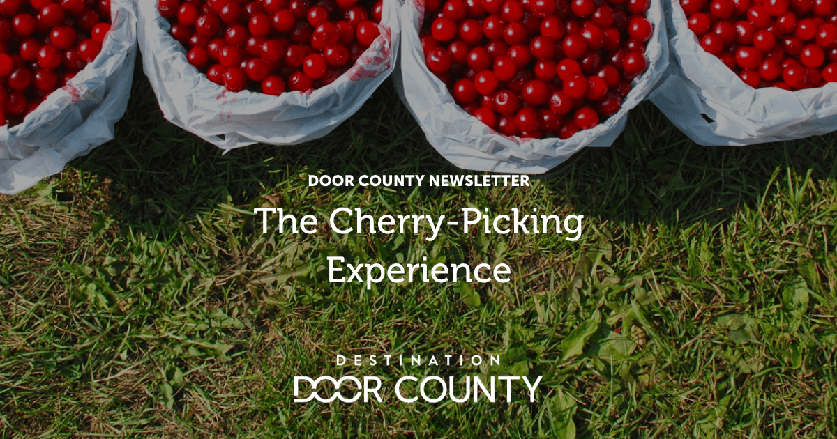 The CherryPicking Experience Destination Door County