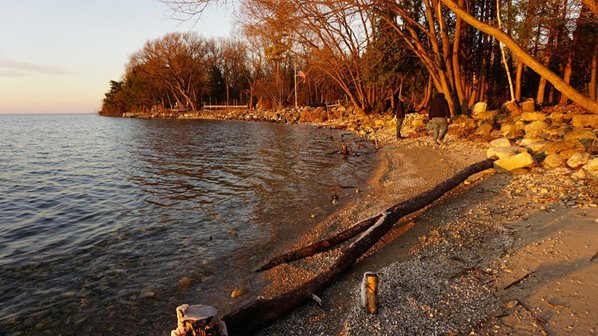 Sunsetting over a wooded shoreline with sand and rocks