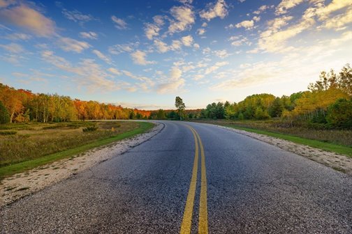 A road lined with trees in their fall colors.