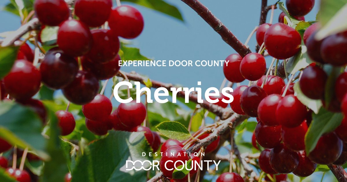 Door County Cherries Experience Destination Door County