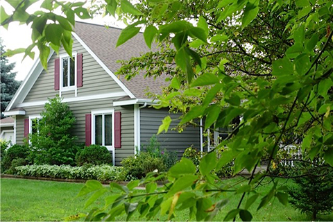 A house beyond a tree branch and leaves.