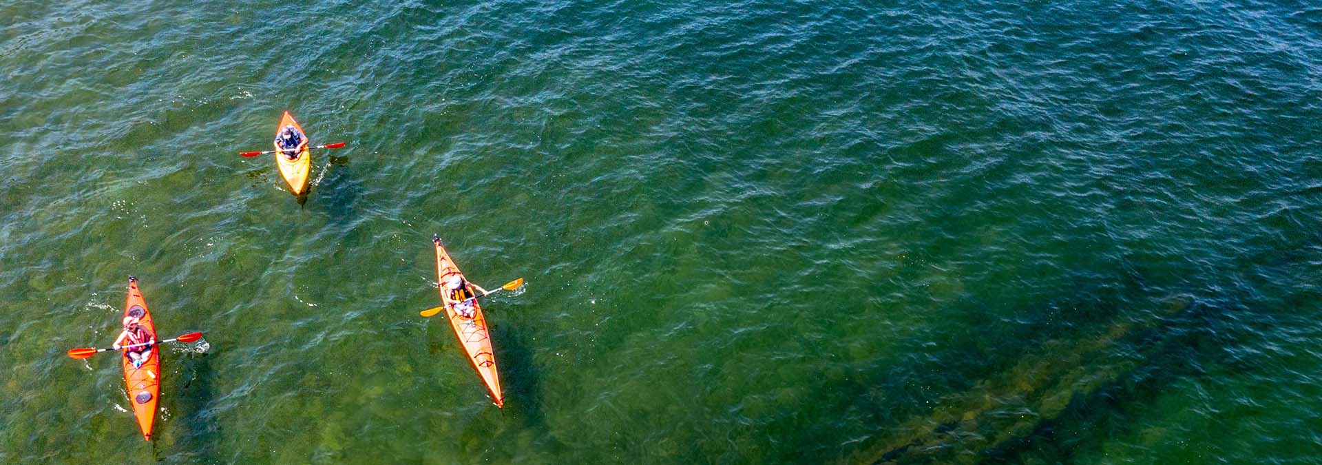 Kayaks on the water