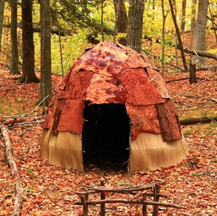 A tent in the woods.