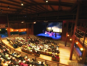 An audience watching performers on stage