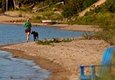 A person running on the beach with a dog