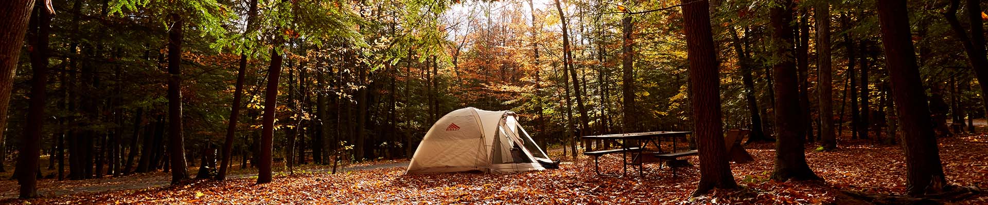 A small tent is set up in a forest clearing during the peak of fall color.