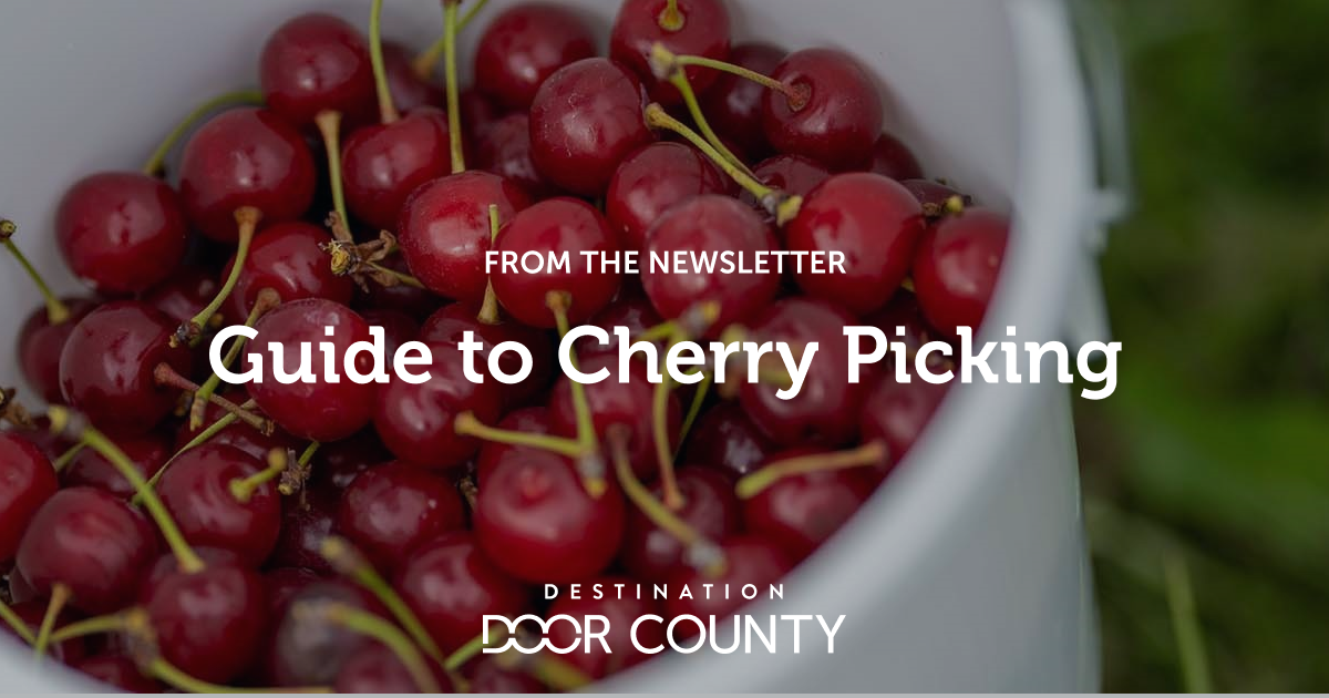 Guide to Cherry Picking Destination Door County
