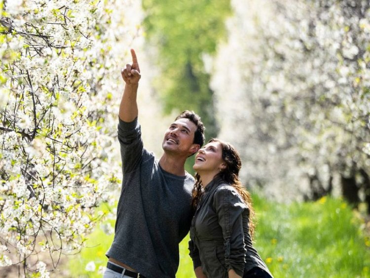 Two people embracing and admiring the orchards.