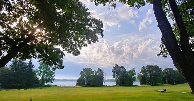 Sunny and cloudy sky with trees in the foreground