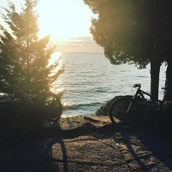 Mountain bikes parked at the lakefront.