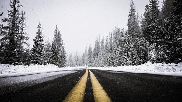 A road lined with snow and trees.