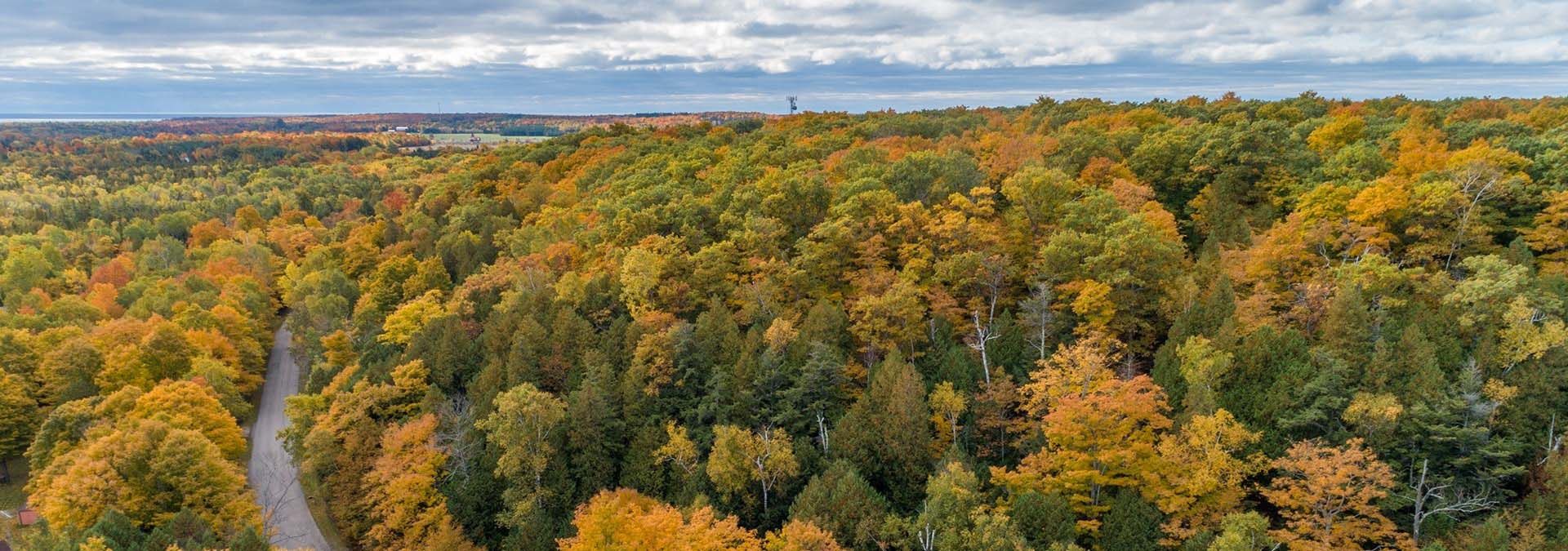 Visitor Guides & Reports Destination Door County