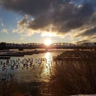 The sun setting over a steel bridge.