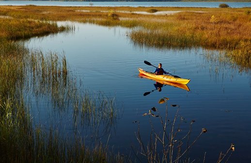 A kayaker on Rieboldt Creek.