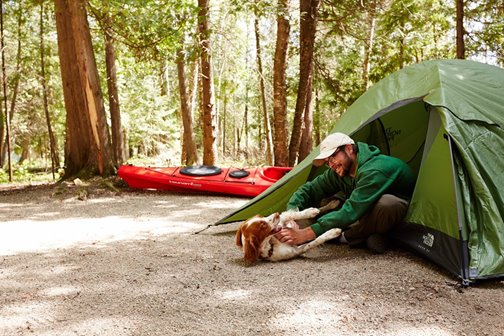 A man leaning out of a tent and petting a dog.