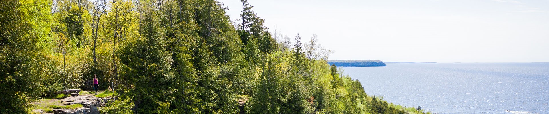 Ephraim Trees along the lake